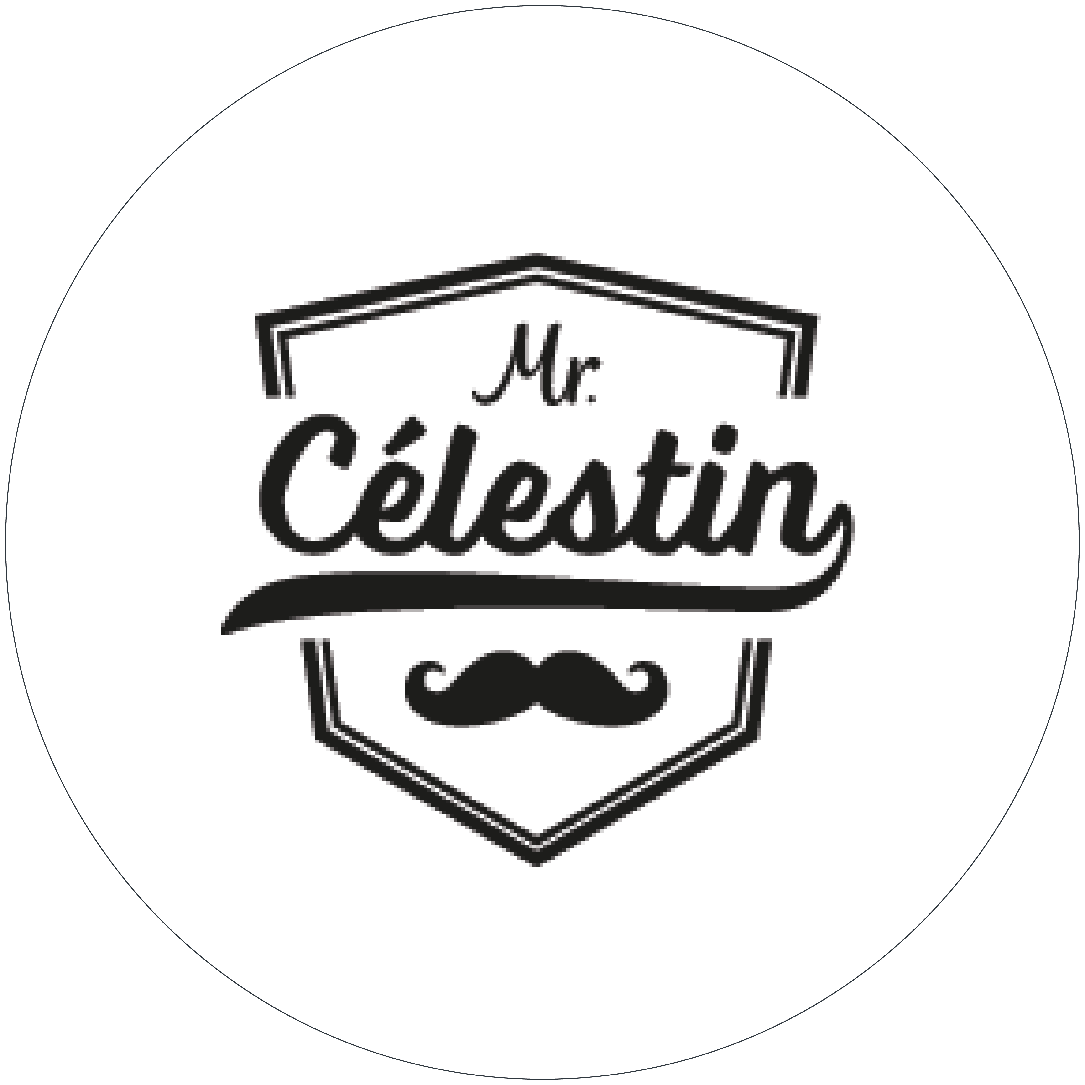 https://www.basile-boutique.ovh/wp-content/uploads/2023/10/Logo_Celestin.png